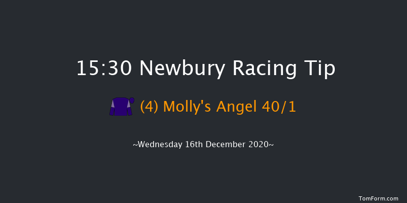 BoscaSports Transforming Retail Betting Display Fillies' 'Junior' Standard Open NH Flat  Newbury 15:30 NH Flat Race (Class 5) 13f Sat 28th Nov 2020