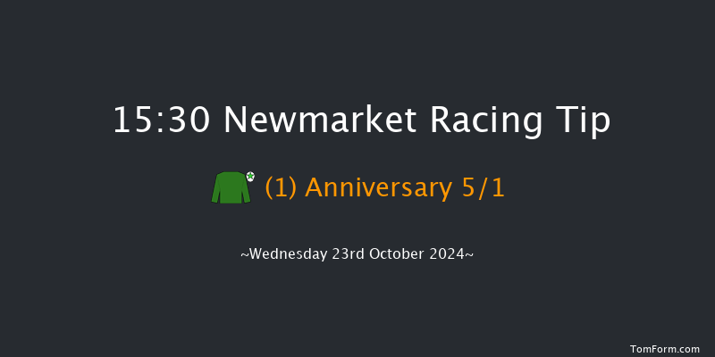 Newmarket  15:30 Handicap (Class 2) 10f Sat 12th Oct 2024