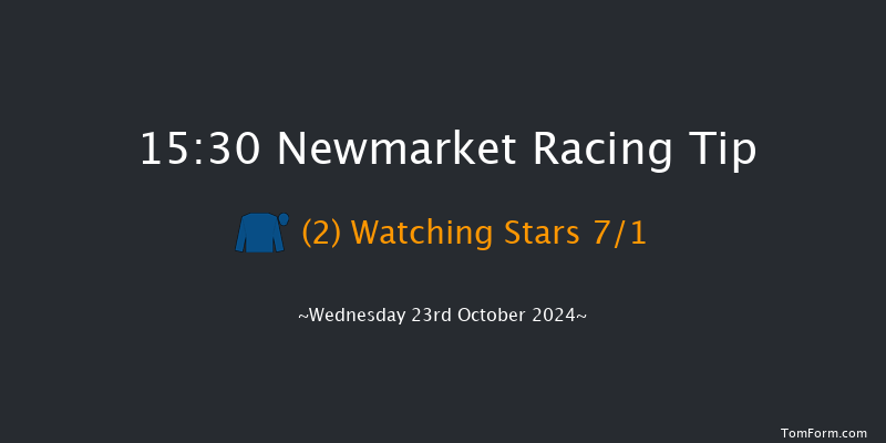 Newmarket  15:30 Handicap (Class 2) 10f Sat 12th Oct 2024