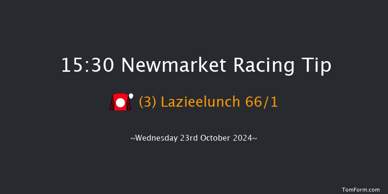 Newmarket  15:30 Handicap (Class 2) 10f Sat 12th Oct 2024