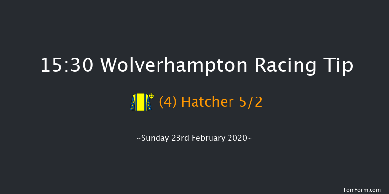Novibet Super Odds 'Jumpers' Bumper' NH Flat Race Wolverhampton 15:30 16f Fri 21st Feb 2020