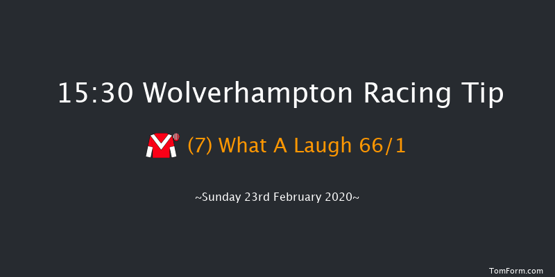 Novibet Super Odds 'Jumpers' Bumper' NH Flat Race Wolverhampton 15:30 16f Fri 21st Feb 2020