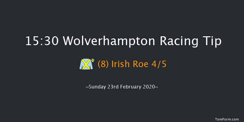 Novibet Super Odds 'Jumpers' Bumper' NH Flat Race Wolverhampton 15:30 16f Fri 21st Feb 2020