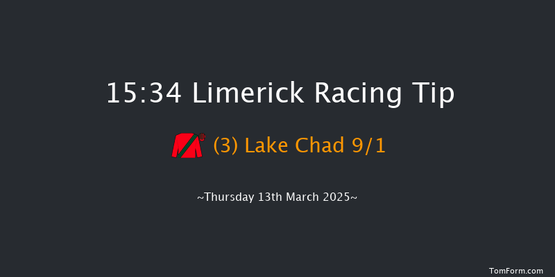 Limerick  15:34 Handicap Chase 23f Tue 28th Jan 2025