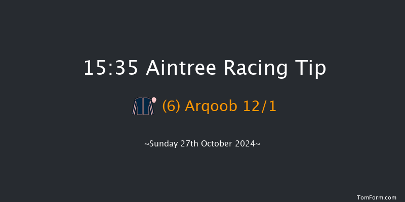 Aintree  15:35 Handicap Hurdle (Class 2) 20f  Fri 17th May 2024