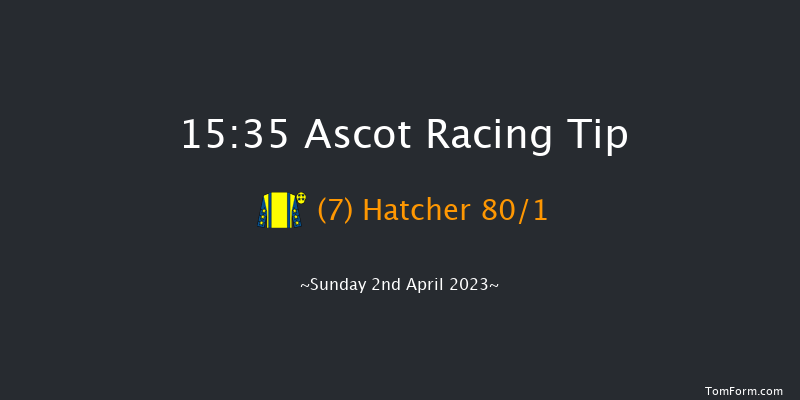 Ascot 15:35 Handicap Chase (Class 2) 17f Sat 18th Feb 2023