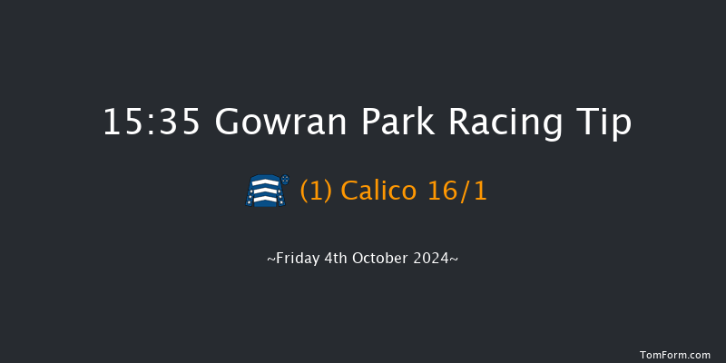 Gowran Park  15:35 Conditions Hurdle 16f Sat 21st Sep 2024