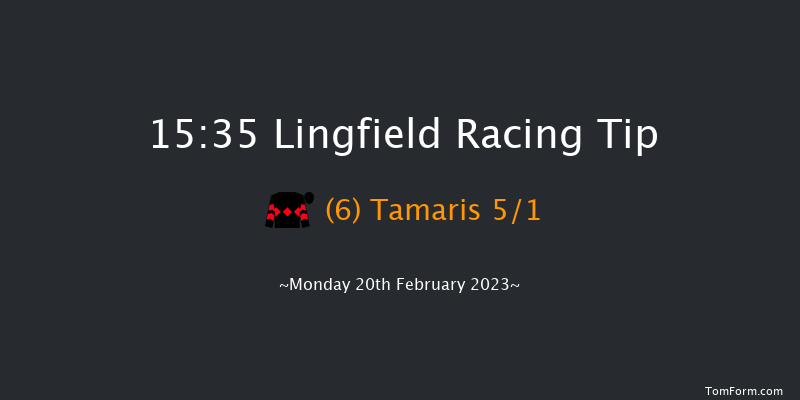 Lingfield 15:35 Handicap Chase (Class 4) 16f Sat 18th Feb 2023