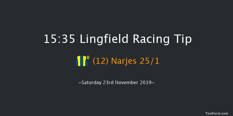 Lingfield 15:35 Handicap (Class 6) 10f Tue 19th Nov 2019
