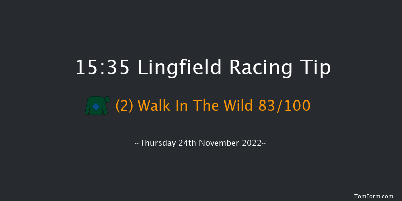 Lingfield 15:35 Handicap Chase (Class 5) 16f Sat 19th Nov 2022