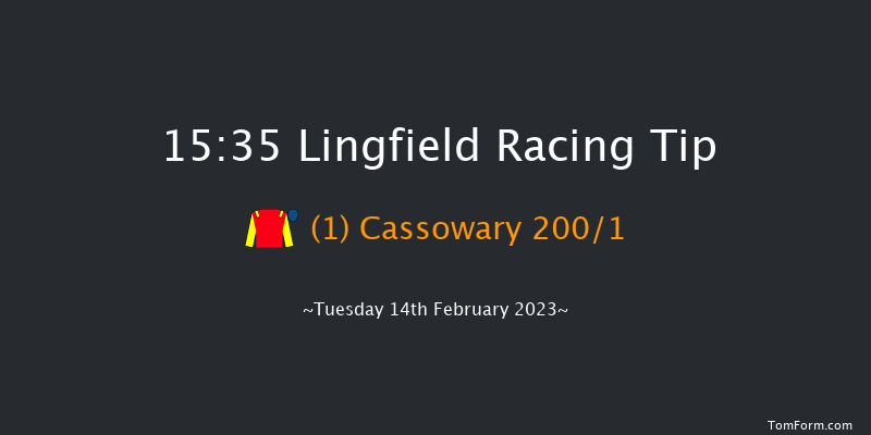 Lingfield 15:35 Maiden Hurdle (Class 4) 20f Sat 11th Feb 2023
