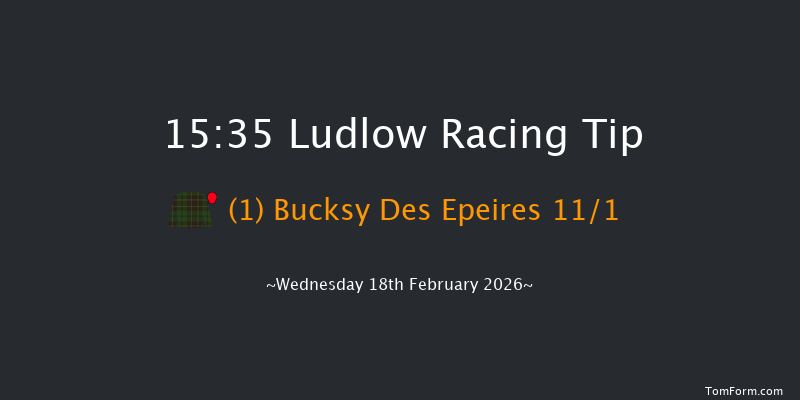 Ludlow 15-35 (Class 4) 23f Wed 4th Feb 2026