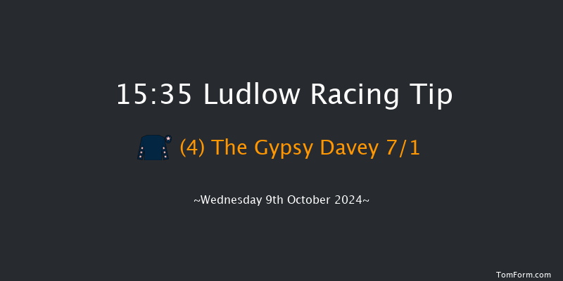 Ludlow  15:35 Handicap Chase (Class 4) 20f Sun 12th May 2024