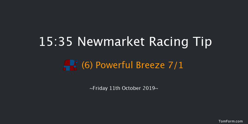 Newmarket 15:35 Group 1 (Class 1) 8f Sat 5th Oct 2019