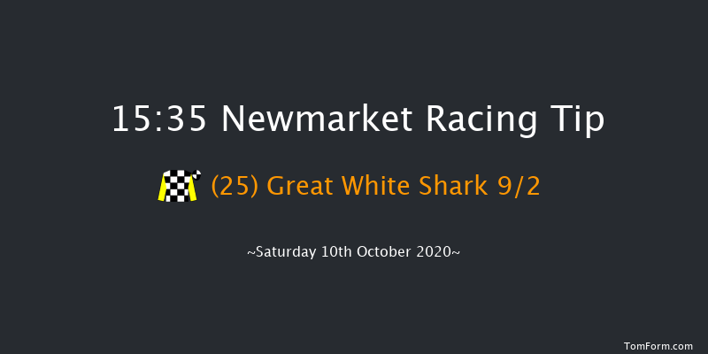Together For Racing International Cesarewitch Handicap (Heritage Handicap) Newmarket 15:35 Handicap (Class 2) 18f Fri 9th Oct 2020