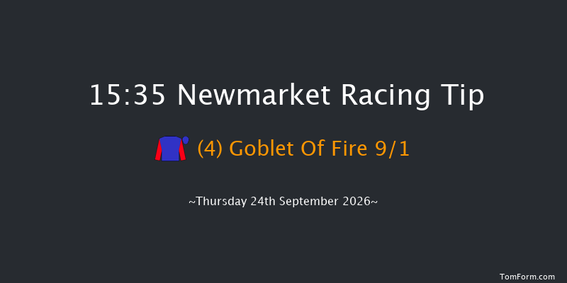 Newmarket 15-35 (Class 1) 16f Sat 19th Sep 2026