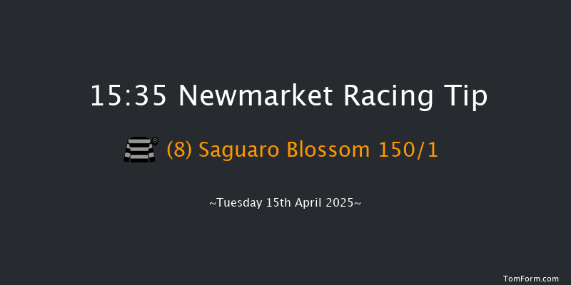 Newmarket 15-35 (Class 1) 7f Sat 2nd Nov 2024