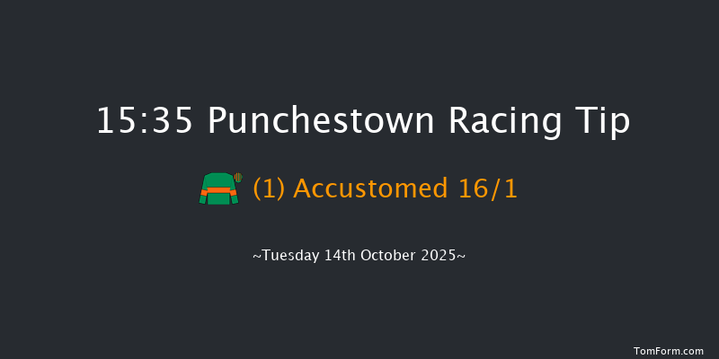 Punchestown 15-35 20f Tue 16th Sep 2025