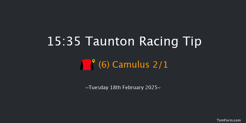 Taunton  15:35 Handicap Chase (Class 4) 23f Tue 4th Feb 2025