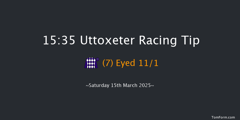 Uttoxeter  15:35 Handicap Chase (Class 2) 24f Sat 8th Feb 2025
