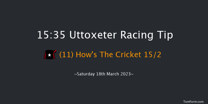 Uttoxeter 15:35 Handicap Chase (Class 2) 24f Sat 11th Feb 2023