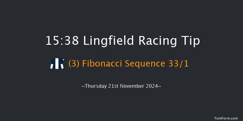 Lingfield  15:38 Handicap (Class 6) 10f Tue 19th Nov 2024