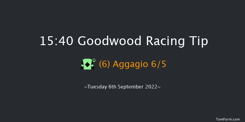 Goodwood 15:40 Handicap (Class 2) 16f Sun 28th Aug 2022