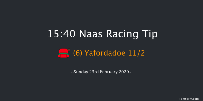 Panoramic Restaurant At Naas Handicap Hurdle Naas 15:40 Handicap Hurdle 16f Sat 8th Feb 2020