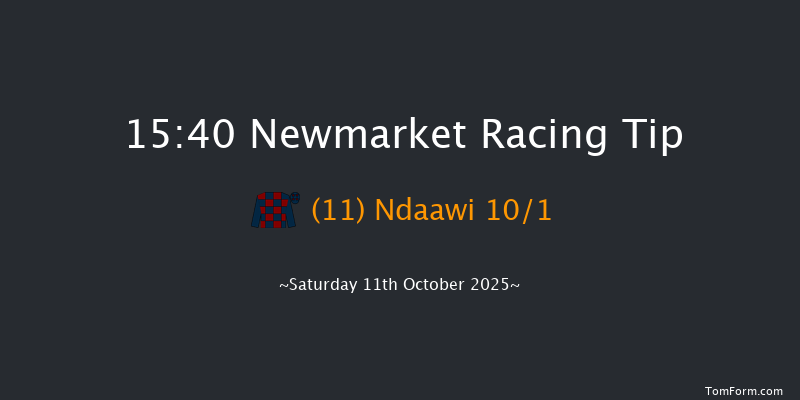 Newmarket 15-40 (Class 2) 18f Fri 10th Oct 2025