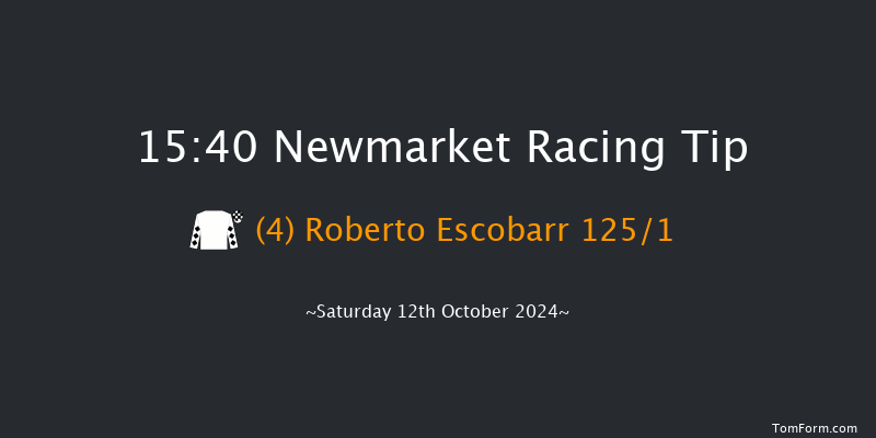 Newmarket  15:40 Handicap (Class 2) 18f  Fri 11th Oct 2024