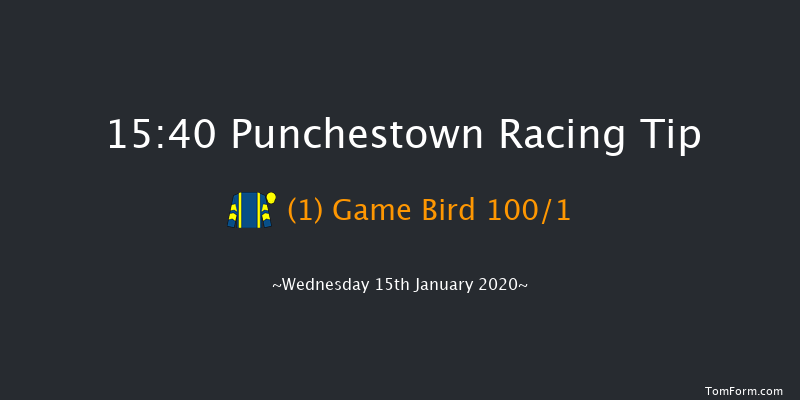 Punchestown 15:40 NH Flat Race 16f Sun 12th Jan 2020