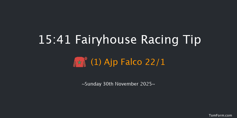 Fairyhouse 15-41 16f Sat 29th Nov 2025