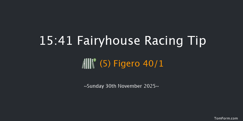 Fairyhouse 15-41 16f Sat 29th Nov 2025