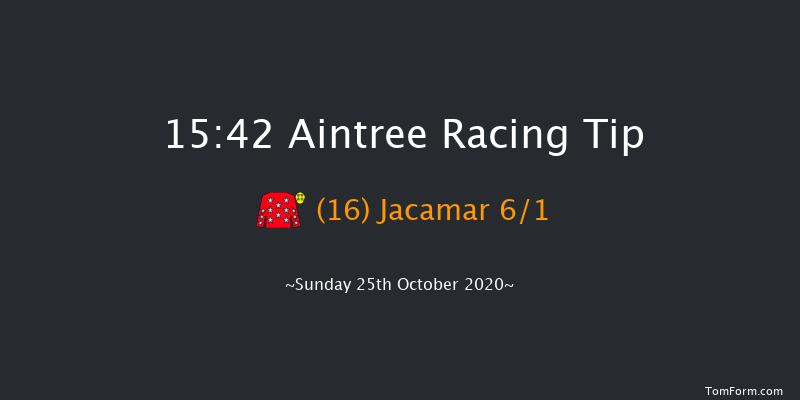 arenagroup.com Handicap Hurdle (GBB Race) Aintree 15:42 Handicap Hurdle (Class 2) 20f Sat 7th Dec 2019