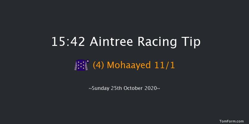 arenagroup.com Handicap Hurdle (GBB Race) Aintree 15:42 Handicap Hurdle (Class 2) 20f Sat 7th Dec 2019