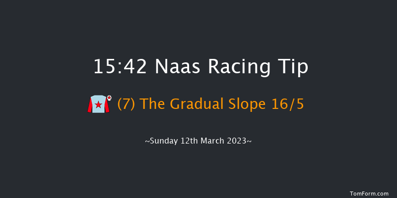 Naas 15:42 Handicap Hurdle 19f Sun 26th Feb 2023