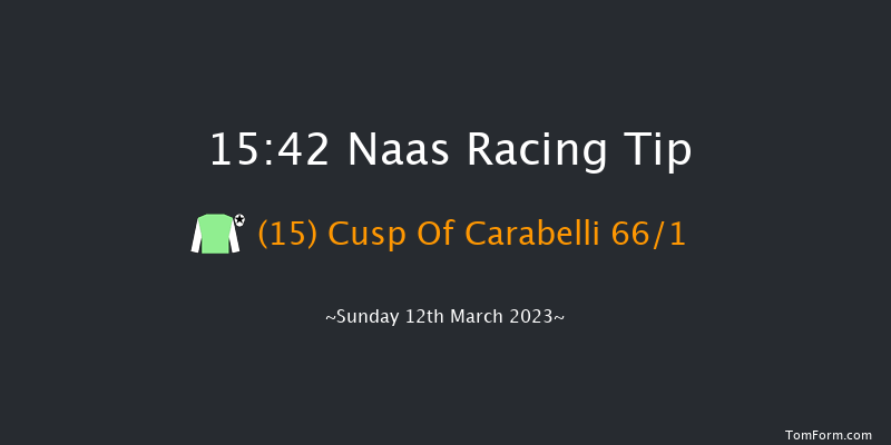 Naas 15:42 Handicap Hurdle 19f Sun 26th Feb 2023