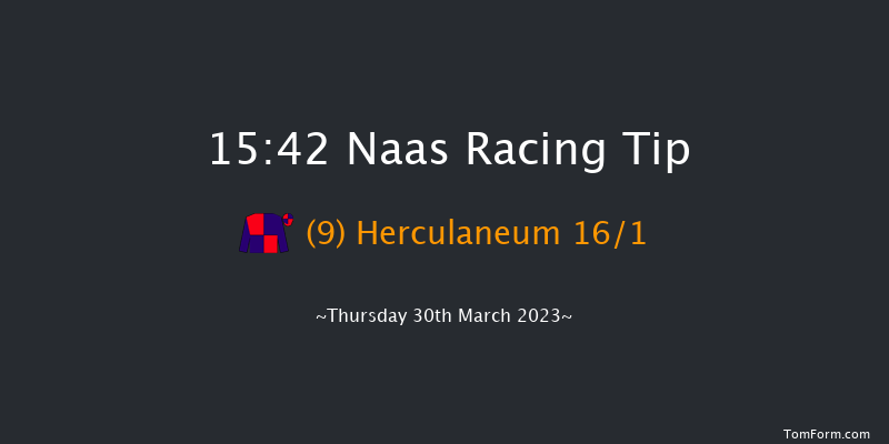 Naas 15:42 Handicap Hurdle 16f Sun 26th Mar 2023