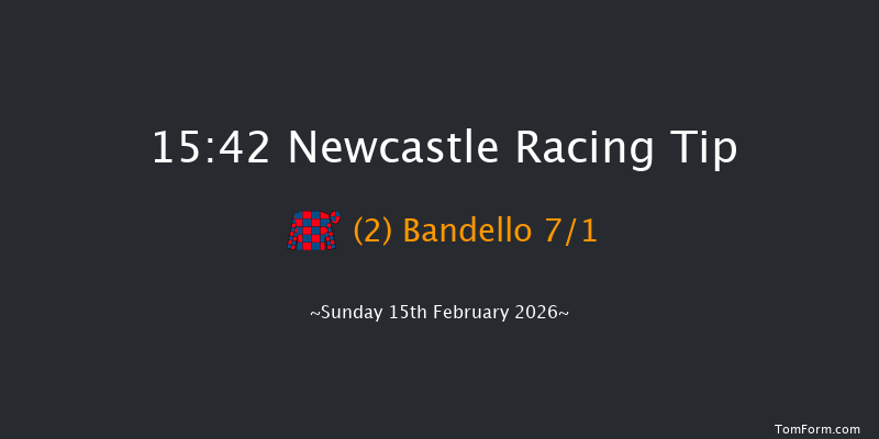 Newcastle 15-42 (Class 6) 8f Sat 14th Feb 2026