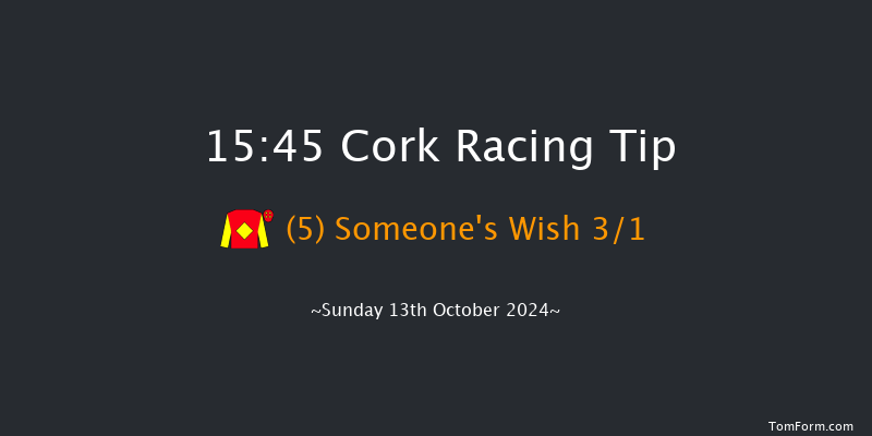 Cork  15:45 Maiden Chase 18f Tue 1st Oct 2024