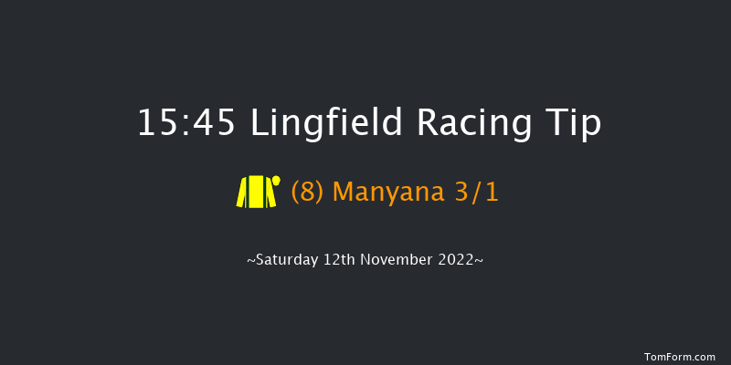 Lingfield 15:45 Handicap (Class 6) 16f Tue 8th Nov 2022
