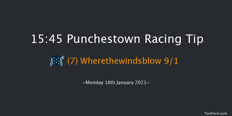 Ladbrokes Giving Extra Places Every Day Handicap Hurdle (80-102) Punchestown 15:45 Handicap Hurdle 24f Sun 17th Jan 2021