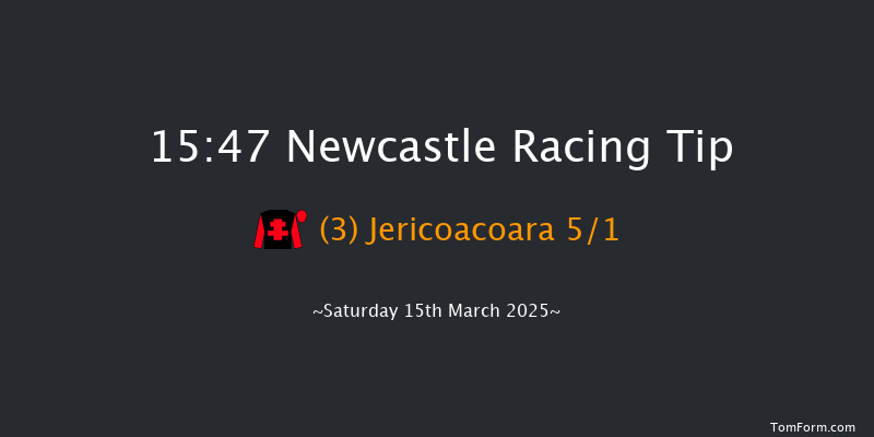 Newcastle  15:47 Handicap Hurdle (Class 3) 17f Thu 13th Mar 2025