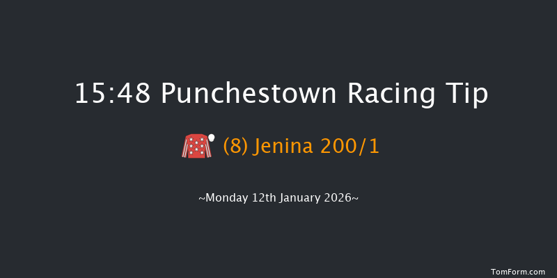 Punchestown 15-48 16f Sun 11th Jan 2026