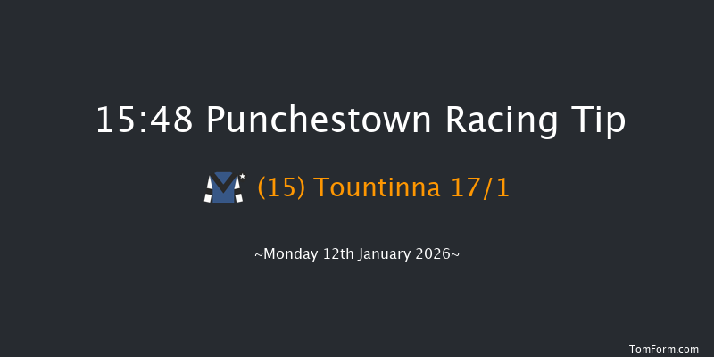 Punchestown 15-48 16f Sun 11th Jan 2026