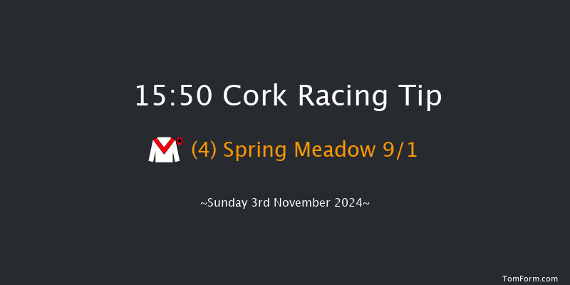 Cork  15:50 Handicap Hurdle 20f  Sun 13th Oct 2024