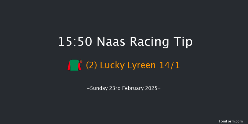 Naas  15:50 Handicap Hurdle 23f Sat 8th Feb 2025