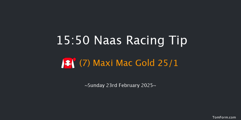 Naas  15:50 Handicap Hurdle 23f Sat 8th Feb 2025
