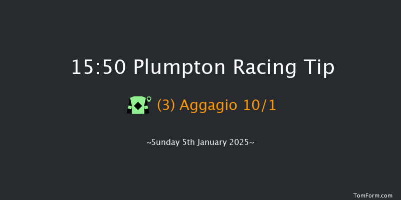 Plumpton  15:50 Handicap Hurdle (Class 4) 16f Mon 16th Dec 2024