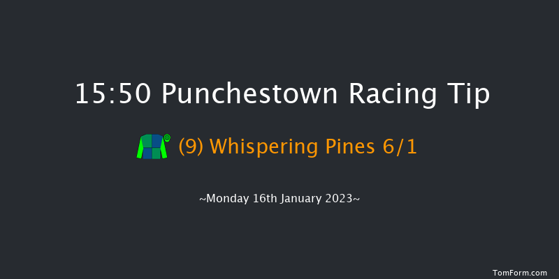 Punchestown 15:50 NH Flat Race 16f Sun 15th Jan 2023